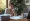How Long Does SSDI Last? Understanding Your Benefits Duration