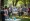 Are GoFundMe Donations Tax Deductible? Key Insights Explained